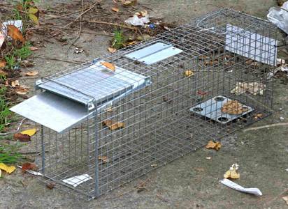 animal-disposal-service.jpg
